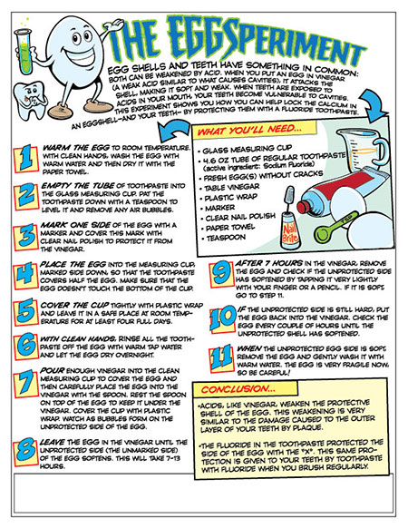 EggSperiment Activity Sheet - Pediatric Dentist in Springfield, MO